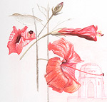 Kresby a pastely